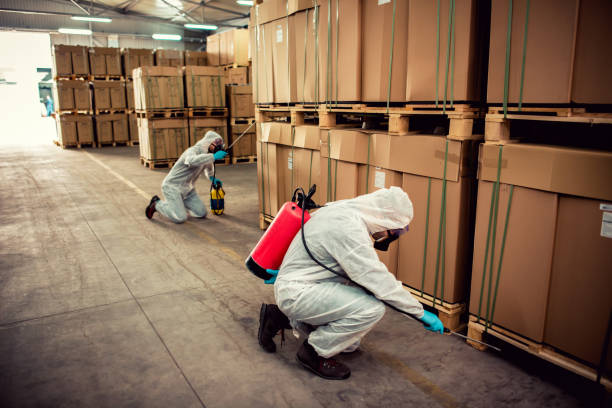 Wasp Removal Services in Frankton, IN
