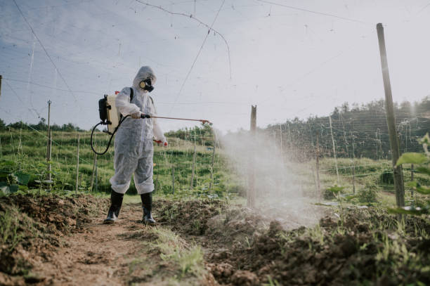 Best Affordable Pest Control Services  in Frankton, IN