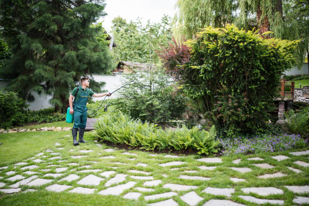 Best Commercial Pest Control Services  in Frankton, IN