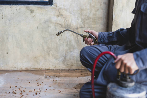 Best Exterminator Services  in Frankton, IN