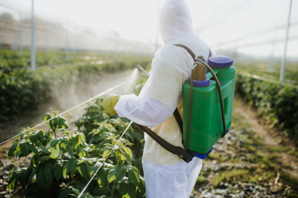 Flea Control Services in Frankton, IN